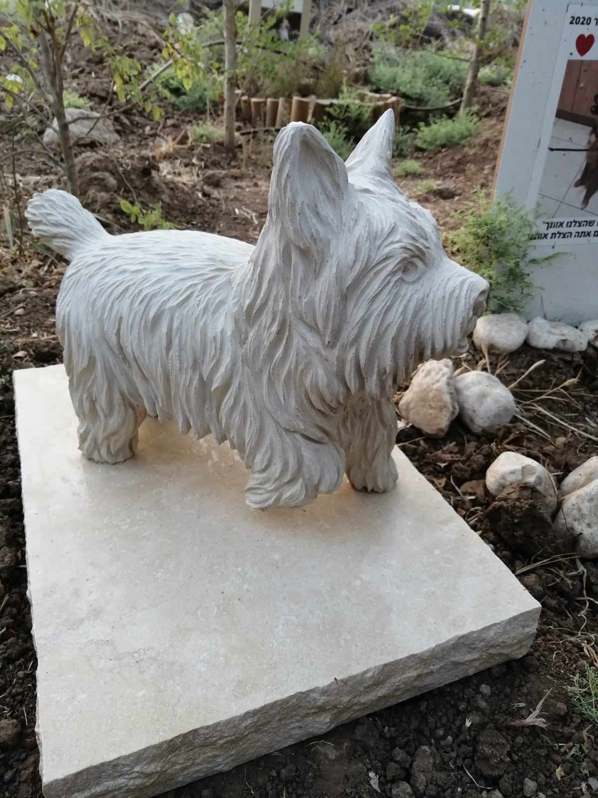 WhatsApp Image 2023-05-02 at 1.45