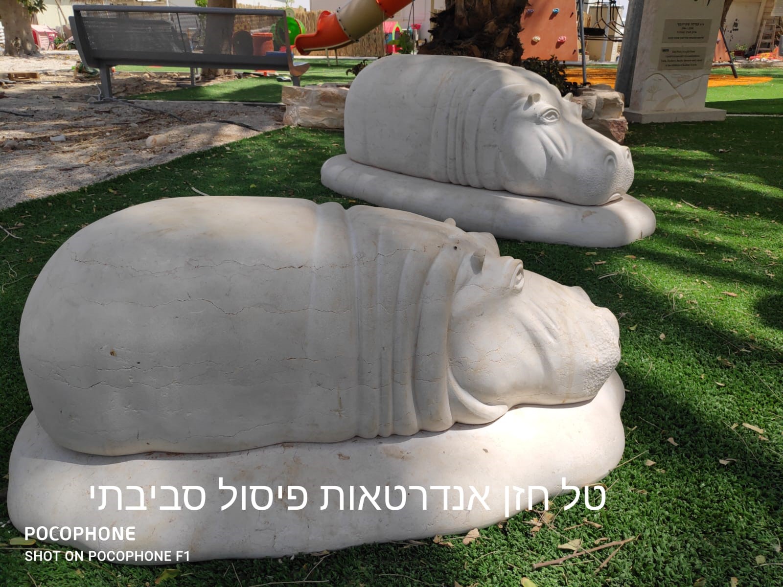 WhatsApp Image 2023-05-02 at 1.45